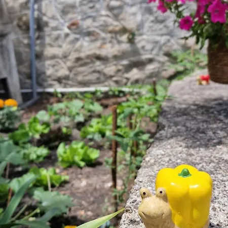 Casa Da Fonte 曼瓜尔迪