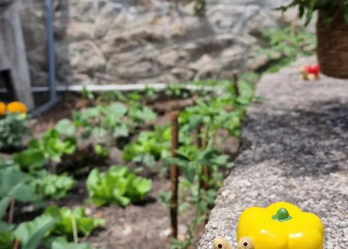 Casa Da Fonte Mangualde