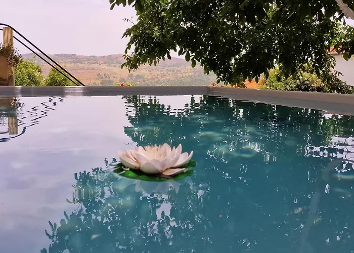 Casa Da Fonte Mangualde